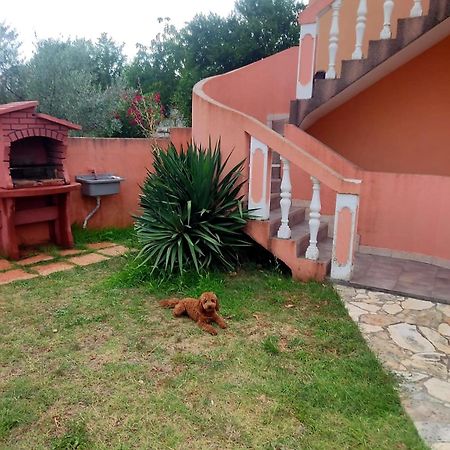 Apartamento Waimarie Fažana Exterior foto