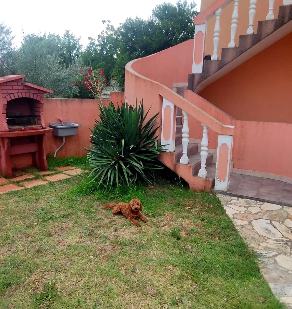 Apartamento Waimarie Fažana Exterior foto